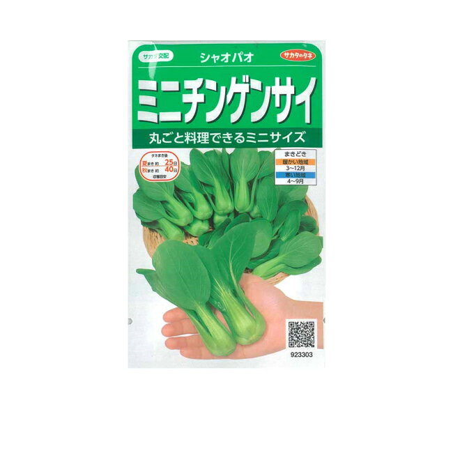 サカタのタネ ミニチンゲンサイ シャオパオ