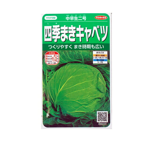 まきどきが広くてつくりやすく、家庭菜園で人気のキャベツです。球は1.5kg前後でやや腰高の平球。春キャベツよりややかたくしまり、すぐれた品種です。 ■種苗会社 サカタのタネ ■数量 ：約125粒 ■注意事項 実店舗と在庫を共有しております。在庫ありとなっていても欠品の場合があります。すぐに取り寄せを行いますが、入荷に時間をいただく場合や、メーカー欠品でご注文をお受けできない場合があります。　