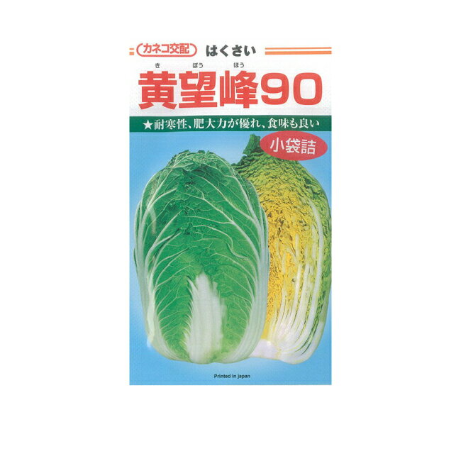 商品特徴 •冬どり栽培に最適な、黄芯系晩生白菜（90日タイプ）です。•耐寒性が優れ、暖冬年でも過熟になりにくいので、収穫幅が広い品種です。•変形、肥大力が優れ、良く揃います。•外葉色は濃緑色になり、球内色は収穫期後半まで濃緑色を維持します。•食味、漬物適性が優れます。•草姿が立性なので、結束作業性が優れます。•芯ぐされ症、ゴマ症等の生理障害の発生が少なく、根こぶ病、べと病に強い耐病性を持ちます。 商品詳細 ■種苗会社：カネコ種苗 ■数量：1.0ml ■納期について 実店舗と在庫を共有しております。在庫ありとなっていても欠品の場合があります。すぐに取り寄せを行いますが、入荷に時間をいただく場合や、メーカー欠品でご注文をお受けできない場合があります。　