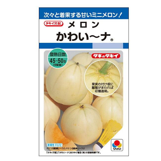 タキイ種苗 メロン 種 かわい～ナ DF(小袋）のサムネイル