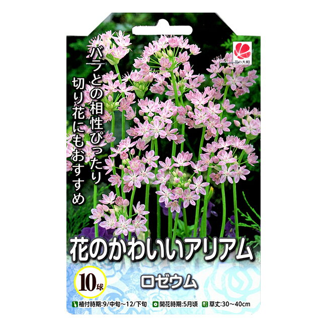 花の大和 アリアム球根 花のかわいいアリアム ロゼウム 10球