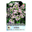 花の大和 アリアム球根 花のかわいいアリアム ロゼウム 10球