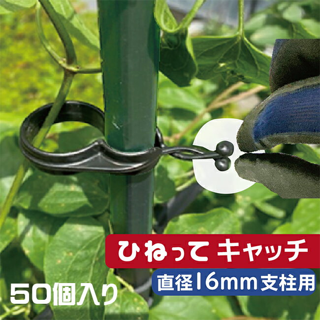 第一ビニール ひねってキャッチ φ16支柱用 50個入り