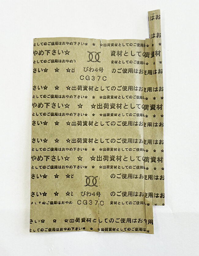 果実袋 ビワ用 びわ4号 一重 100枚入り