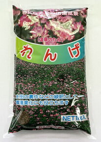 緑肥 種子 れんげ草 1kg