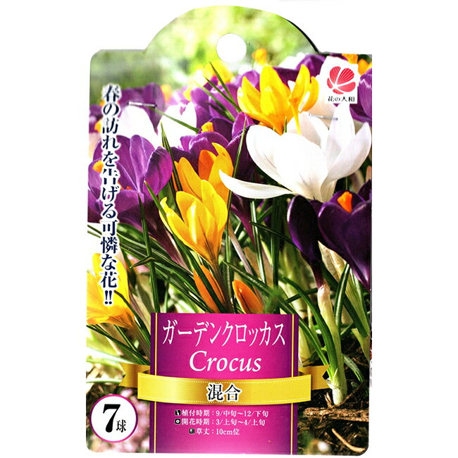 花の大和ガーデンクロッカス球根混合7球