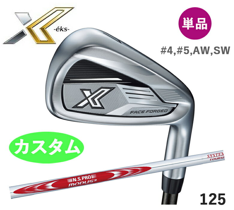  XXIO X å  ñ (45AWSW)N.S.PRO MODUS3 SYSTEM3 TOUR ...