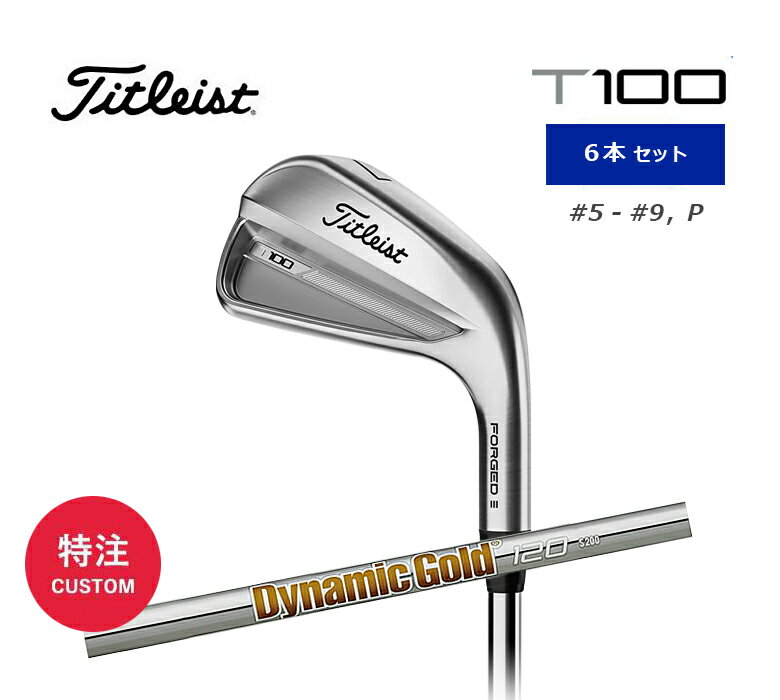 タイトリスト T100 アイアン 6本セット（#5-#9、P）メンズ 右用 Titleist Dynamic Gold 120 ダイナミックゴールド スチールシャフト 日本正規品 2023年 特注/カスタム