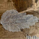 【クーポンで10%OFF★ハロウィンSALE】 レース テーブルセンター 20×35cm リーフ型レーステーブルセンター レース布 レース生地 テーブルセンター...