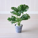 5/15まで【25%OFFクーポン】 人工観葉植物 造花 イングリッシュガーデン モンステラ S おしゃれ フェイクグリーン インテリア 鉢 小さい ヨーロピア...