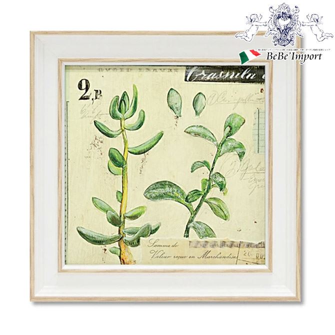 ������꡿��10��OFF�����ݥ�� �ߥ˥��륢���� �ե졼�� ���󥸥��饹������� �� �������� ��