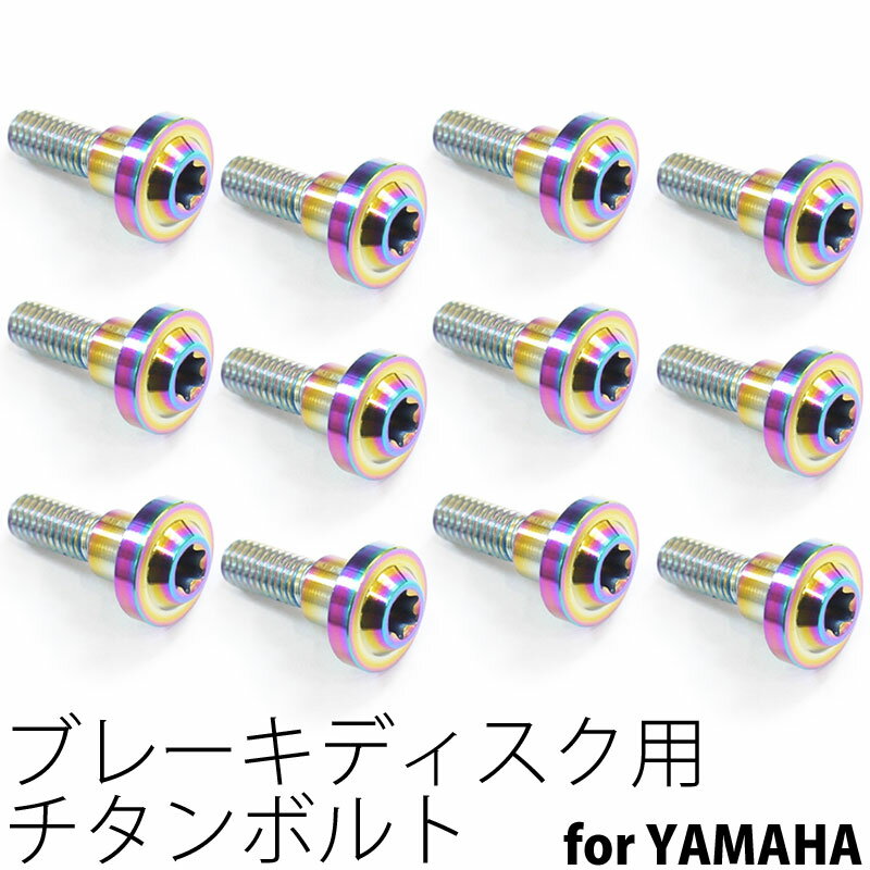 64チタンボルト ブレーキ ディスクボルト ヤマハ用 M6×20 12本 焼き色有り Ti - 6Al - 4V Titanium 64チタン合金