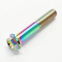 64チタンボルト M10 × 55mm P1.5 並目 フランジボルト 焼き色有り Ti-6Al-4V 64チタン合金(4)
