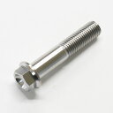 64チタンボルト M10 × 20~70mm P1.25 細目 フランジボルト ナチュラル Ti-6Al-4V 64チタン合金