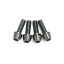 64チタンボルト テーパーキャップ M5 × 16mm P0.8 4本セット ワッシャー付き ブラック 黒 Ti - 6Al - 4V Titanium ステムボルト ステムスクリュー