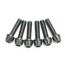 64チタンボルト テーパーキャップ M5 × 20mm P0.8 6本セット ワッシャー付き ブラック 黒 Ti - 6Al - 4V Titanium ステムボルト ステムスクリュー