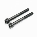 64チタンボルト テーパーキャップ M6 × 50mm P1.0 ブラック 黒 Ti - 6Al - 4V Titanium 64チタン合金