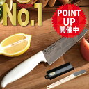 【 24時間限定ポイント5倍! !】【 楽天1位 6冠獲得!