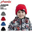 フェニックス phenix ジュニア スキー キャップ PH Boy's Double BEANIE ESB22HW10 レターパック対応 【FN】