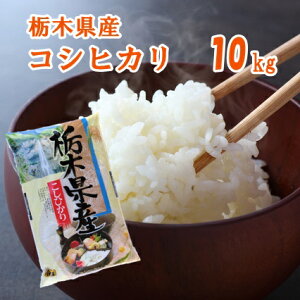 栃木 こしひかり 精米 10キロ【R3年産】栃木県産 コシヒカリ 白米 お米 10kg【送料込み】