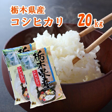 【R3年産】栃木県産 コシヒカリ精米 20kg　（10kg×2袋）　白米　お米　栃木こしひかり【送料込み】