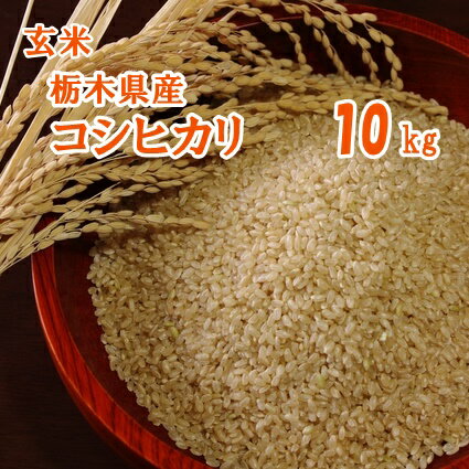 お米 栃木 10キロ【新米R4年産】栃木県産 コシヒカリ 玄米 こしひかり 10kg【送料込み】