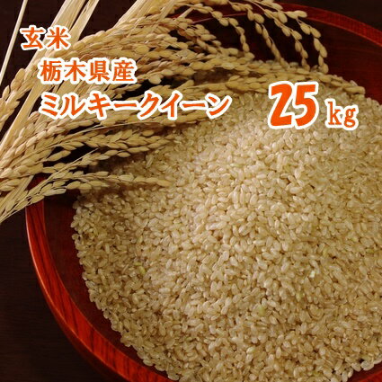 【R1年産新米】栃木県産ミルキークイーン 玄米 25kg【送料無料】...