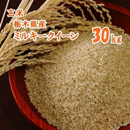 【R5年産】ミルキークイーン 玄米　栃木県産 30kg【送料