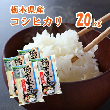 【R5年産】栃木県産 コシヒカリ精米 20kg 5kg 4袋 白米 お米 栃木こしひかり【送料込み】