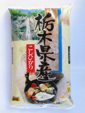 【R3年産】新米 栃木県産コシヒカリ 25kg(5kg×5袋)【送料込み】