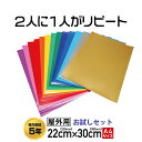 お試しシートセット 即日発送 カッティング用シートと転写シート【A4】 1000円ぽっきり送料無料 各2枚セット 屋外用 ステッカーシート カラーシール 日本製 高品質 極薄 マス目 気泡防止 ひび割れ防止 防水 屋外 文字 車 デカール 看板