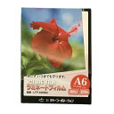 ラミネートフィルム 【A6サイズ】【100μm】 100枚 メニュー表 ポスター DIY POP ポップ 写真 水濡れ防止 汚れ防止 キズ防止 ホットラミネート...