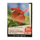 ラミネートフィルム 【B6サイズ】【100μm】 100枚 メニュー表 ポスター DIY POP ポップ 写真 水濡れ防止 汚れ防止 キズ防止 ホットラミネート...