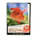 ラミネートフィルム 【B8サイズ】【100μm】 100枚 メニュー表 ポスター DIY POP ポップ 写真 水濡れ防止 汚れ防止 キズ防止 ホットラミネート...