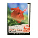 ラミネートフィルム 【診察券サイズ】【100μm】 100枚 メニュー表 ポスター DIY POP ポップ 写真 水濡れ防止 汚れ防止 キズ防止 ホットラミネー...