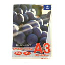 ラミネートフィルム 【A3サイズ】【250μm】 50枚 厚手 メニュー表 ポスター DIY POP ポップ 写真 下敷き 水濡れ防止 汚れ防止 キズ防止 ホッ...