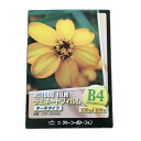 ラミネートフィルム 【B4サイズ】【100μm】 100枚 ターボタイプ(横型) メニュー表 ポスター DIY POP ポップ 写真 水濡れ防止 汚れ防止 キズ...