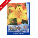 【スーパーSALE】ラミネートフィルム 【A3サイズ】【250μm】 100枚 ターボタイプ(横型) 厚手 メニュー表 ポスター DIY POP ポップ 写真 水濡れ防止 汚れ防止 キズ防止 ホットラミネート(パウチ) 簡単 印刷物を守る 印刷工房