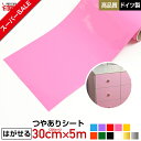 【スーパーSALE】【はがせる】カッティング用シート リメイクシート 305mm×5m 【つやあり】【シルエットカメオ】【キッチンにも】【送料無料】※北海道・沖...