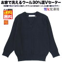 スクール セーター ジュニア Vネック ウール混 紺 男女児兼用 100/110/120/130cm キッズ 学生服 小学生制服 男の子 女の子 男児 女児 無地 通学 制服 毛混 ネイビー 子供服 フォーマル 