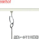 タチカワブラインド製 病院用カーテンレール/点滴レールV20レール(単体) 長さ300cm