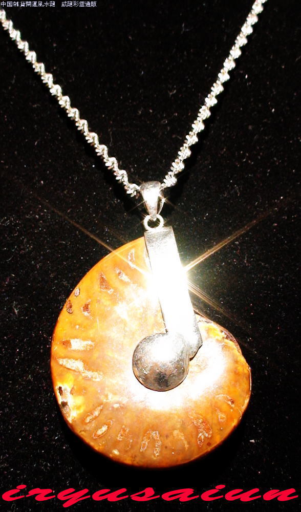 ŷ ʥ  Хڥȥȥå˽ ʡΥǥͥå쥹󥺥ͥå쥹necklace ammonite fossilζ̱