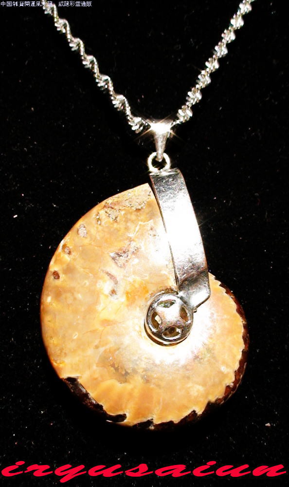 ŷ ʥ  Хڥȥȥå˽ ʡΥǥͥå쥹󥺥ͥå쥹necklace ammonite fossilζ̱