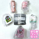 サンリオキャラクターズ レトロミニチュアチャーム2 全5種セット カプセルトイ フィギュア【在庫品】A-59
