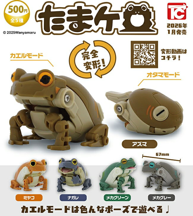 DAISUKE KONDO めじるしアクセサリー 全7種セット　カプセルトイ　フィギュア【在庫品】