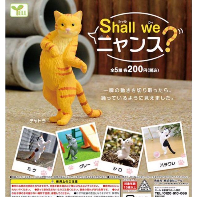 A-37 Shall we ニャンス？　全5種セット　ねこ　ネコ　猫　Shall we ダンス?のサムネイル