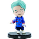 BTS ミニ ドール RM アールエム キム ナムジュン 防弾少年団 フィギュア 人形 バンタン グッズ マテル