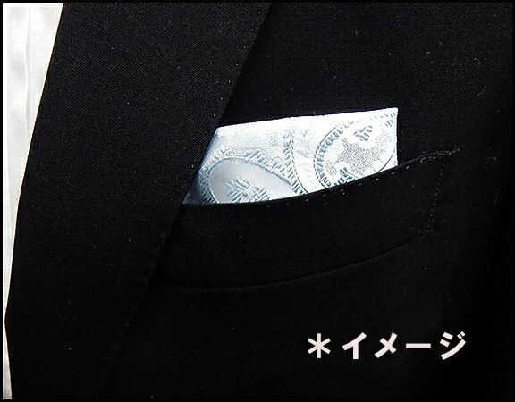 �ݥ��åȥ����� ��� �뺧���������꡼���ϡ��򡡥ɥå� ��̡���100�󡡥᡼���زġ�ACC-ITL04