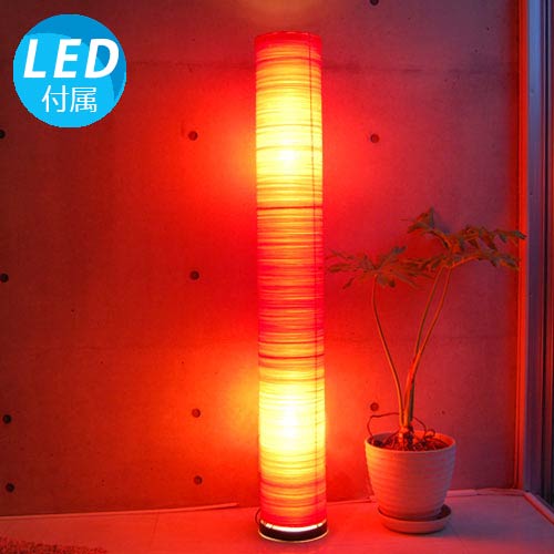 LEDŵաۥ꡼()    ܾ  led ⥳ ե饤 ɥ饤  ե  ƥꥢ   ˥ Х ̲   ץ쥼 8 10 ֤ 145cm ̵ 