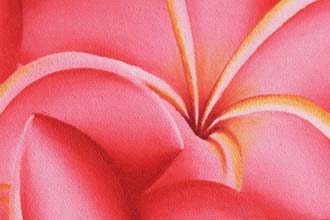 �Хꥢ���� ���� �����ȥѥͥ� �������� ����󥢡��� �ɳݤ� ����� �������� �̲� ����ƥꥢ �Х� �꥾���� ������� ���� ��ӥ� �����˥� ���� �������󻨲� �緿���� �� �ץ��ꥢ ��������ƥ�����/�Х골��M64